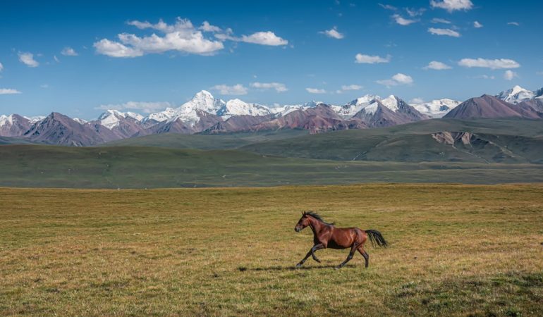 Krgyzstan
